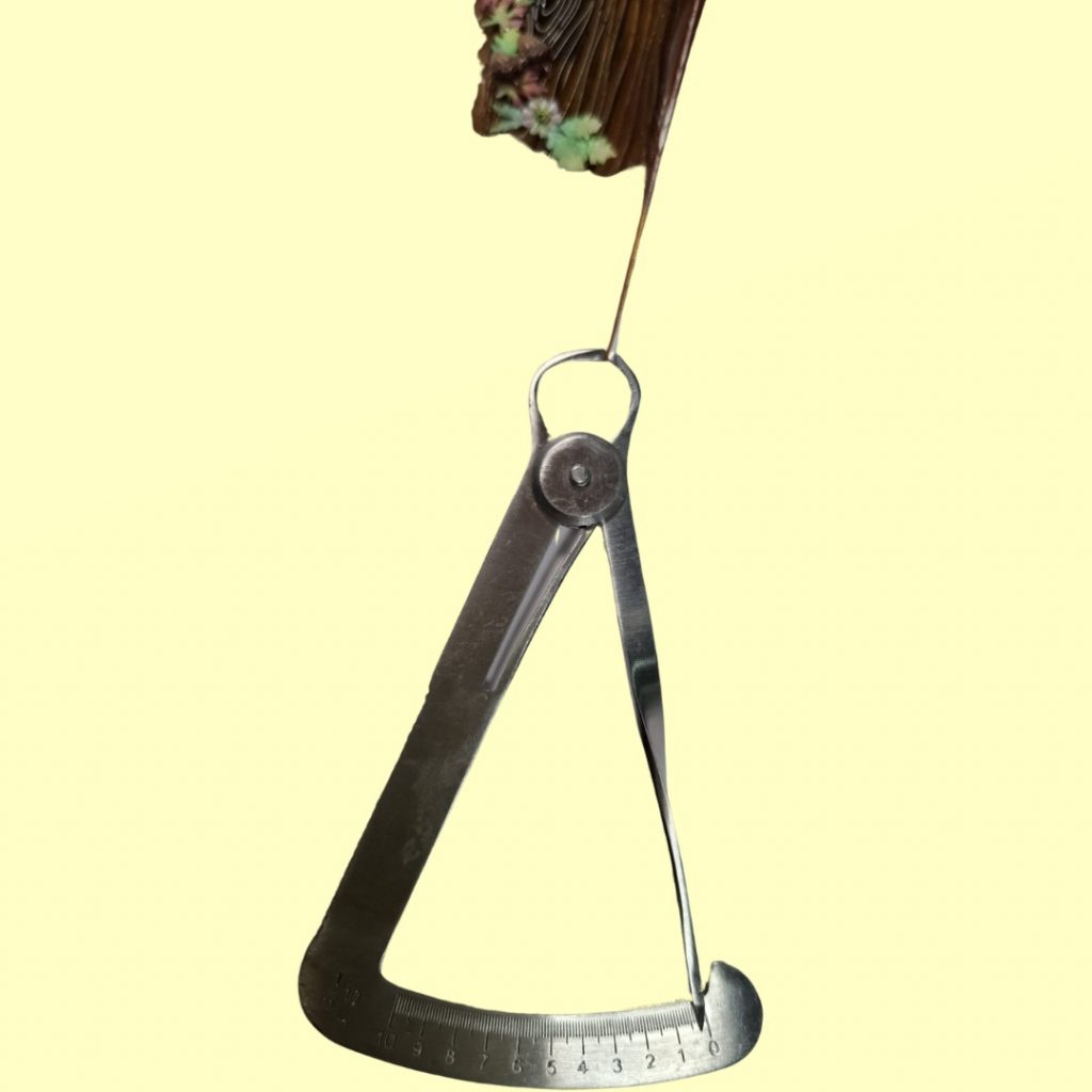 bdc40f51-8d00-4356-8c2f-eb14b80551cd